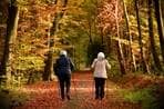 Spaziergang im Wald zweier älterer Leute